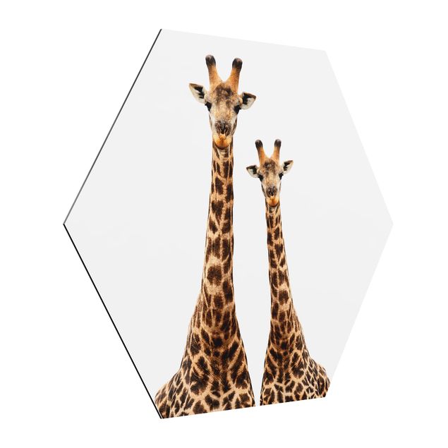 Tableaux animaux Portait de deux girafes