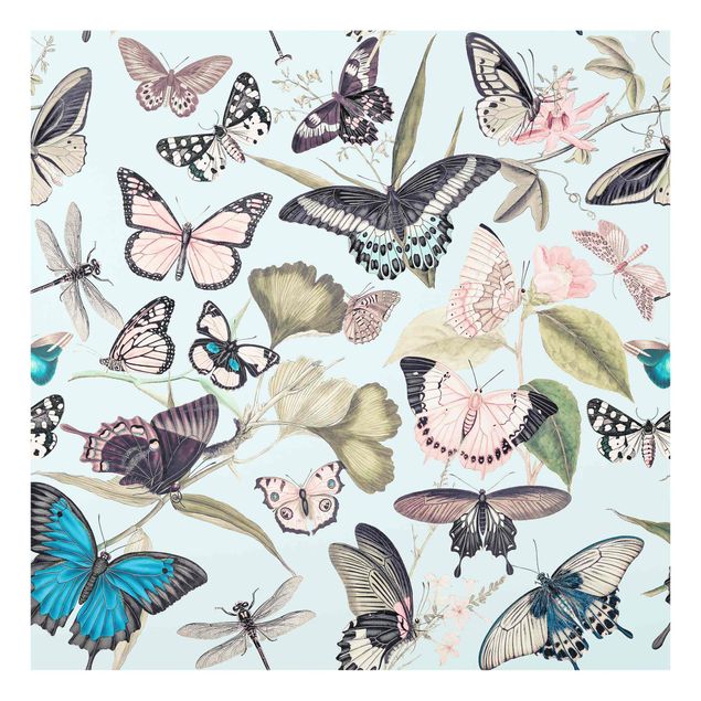 Tableaux de Andrea Haase Collage Vintage - Papillons et Libellules