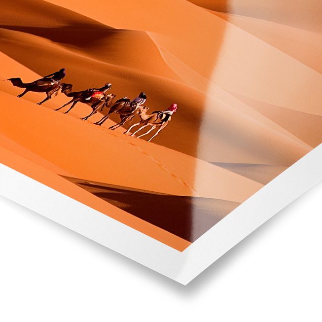 Tableau avec couleur orange Désert du Namib