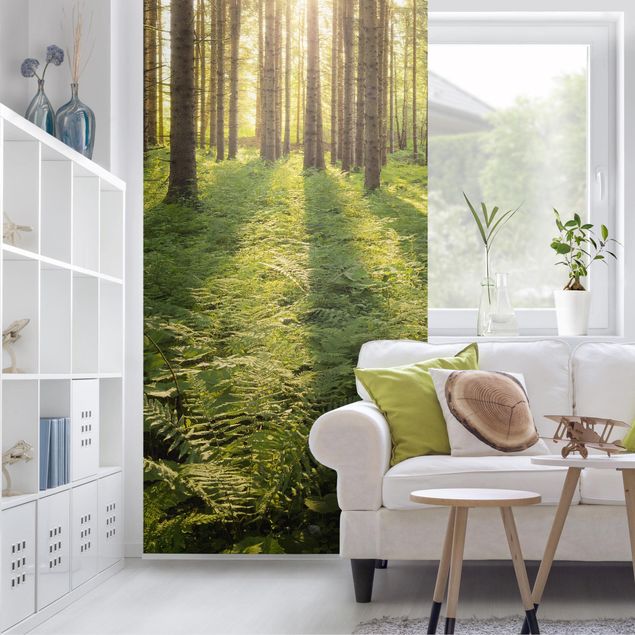 rideau séparateur de pièce Rayons de soleil dans une forêt verte
