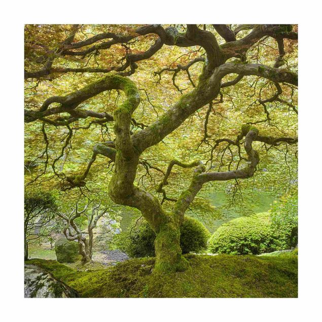 tapis forêt Jardin japonais vert
