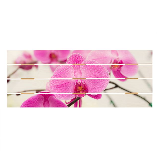 Impression sur bois Gros plan sur une orchidée