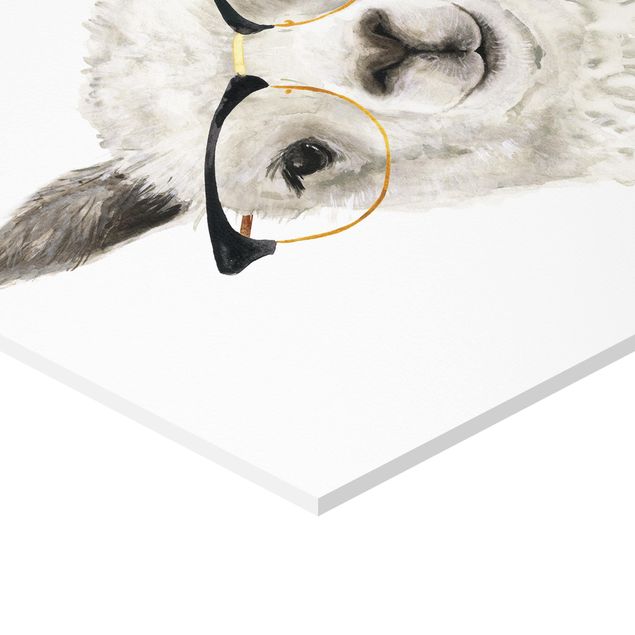 Hexagone en forex - Hip Lama With Glasses I