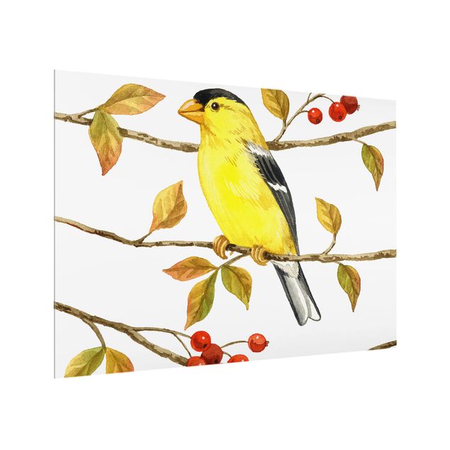 Fond de hotte - Birds And Berries - American Goldfinch