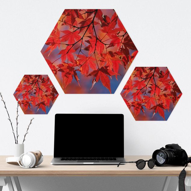 Tableau hexagon Erable Rouge