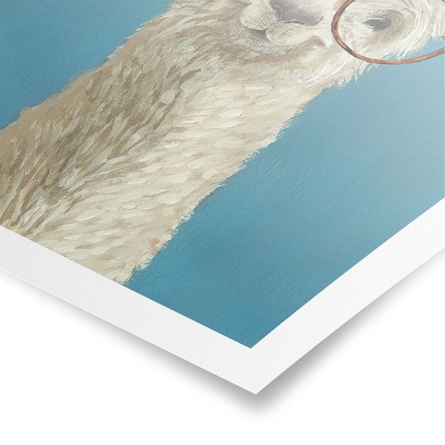 Poster animaux Lama avec Des Lunettes I
