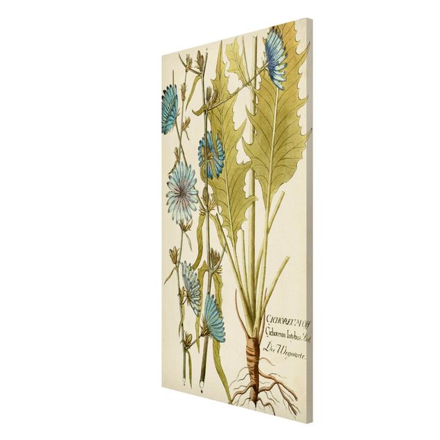 Tableau fleurs Botanique vintage en bleu endive