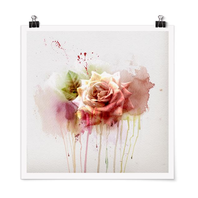 Tableaux fleurs Rose à l'aquarelle