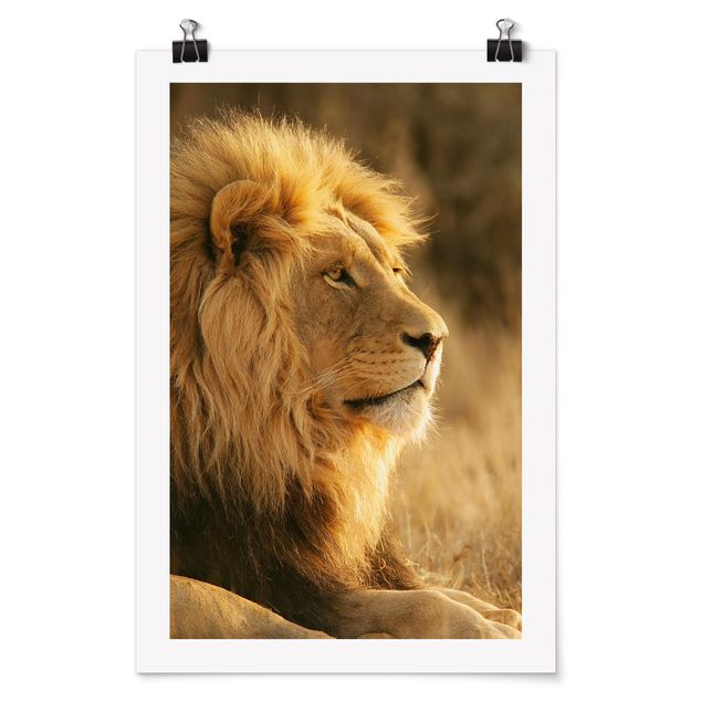 Cadre animaux King Lion