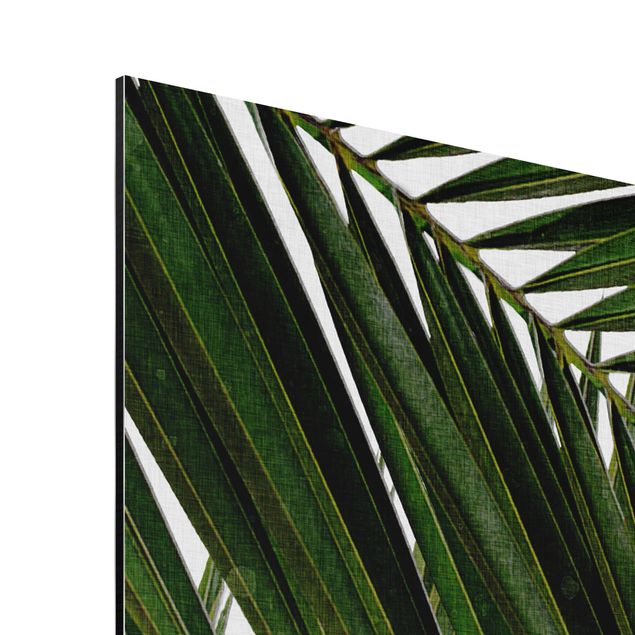 Tableaux nature Vue à travers des feuilles de palmier vertes