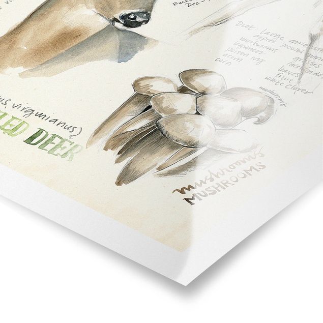 Tableau marron Journal de la nature sauvage - Cerf