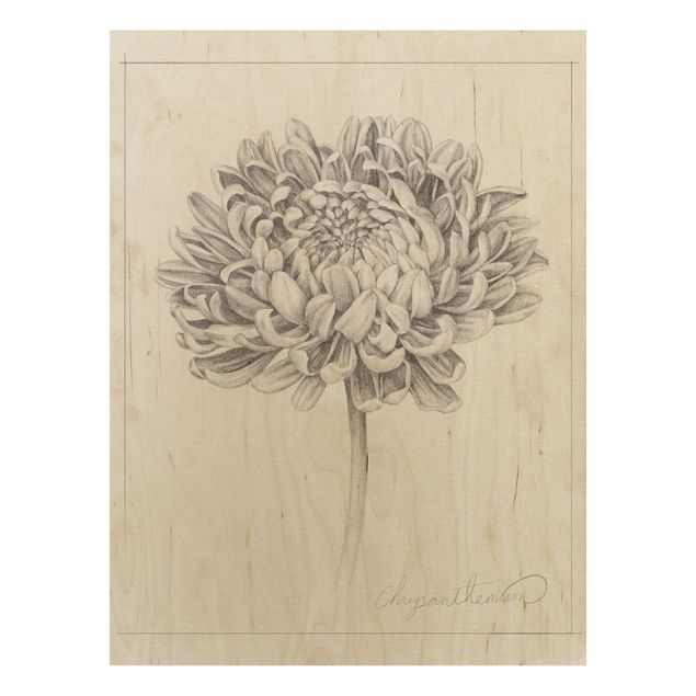 Tableaux en bois avec fleurs Étude botanique Chrysanthème II