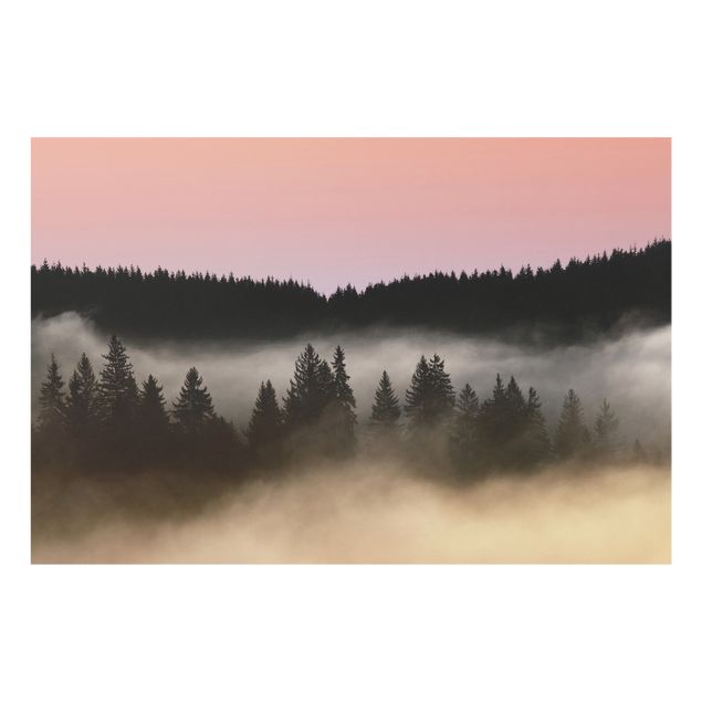 Fonds de hotte - Dreamy Foggy Forest - Format paysage 3:2