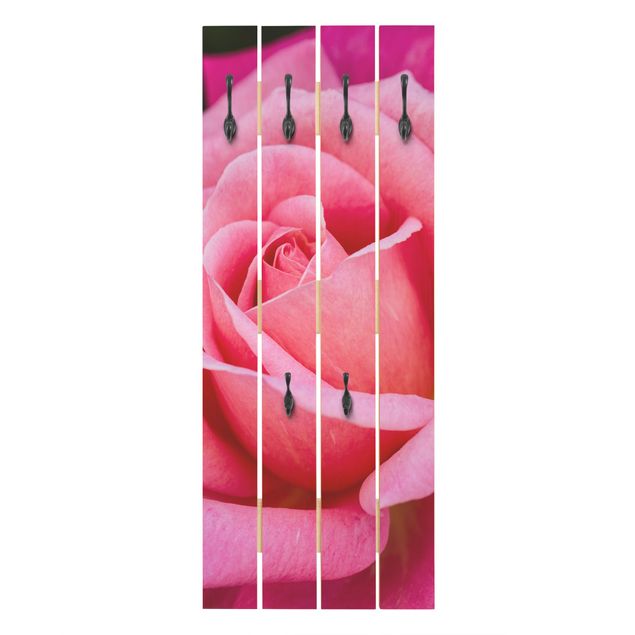 Porte-manteaux muraux verts Fleurs de rose rose sur fond vert
