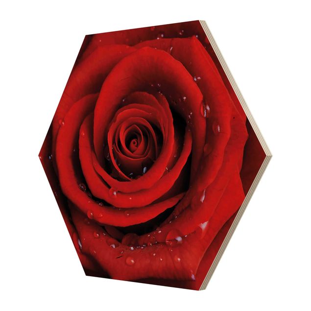 Hexagone en bois - Red Rose With Water Drops