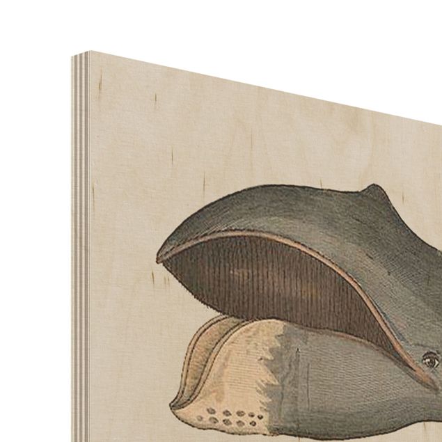 Impression sur bois - Five Vintage Whales