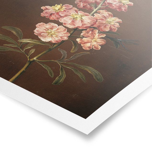 Posters fleurs Barbara Regina Dietzsch - Une giroflée rose pâle