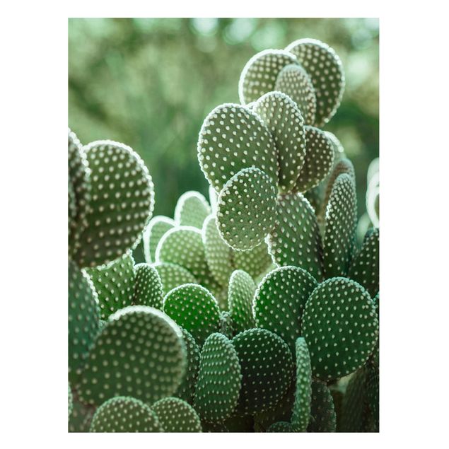 Tableaux magnétiques avec fleurs Cactus