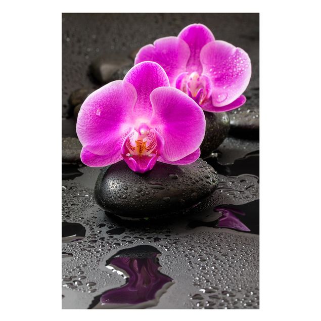 Tableaux orchidées Fleur Orchidée Rose sur Pierres avec Gouttes