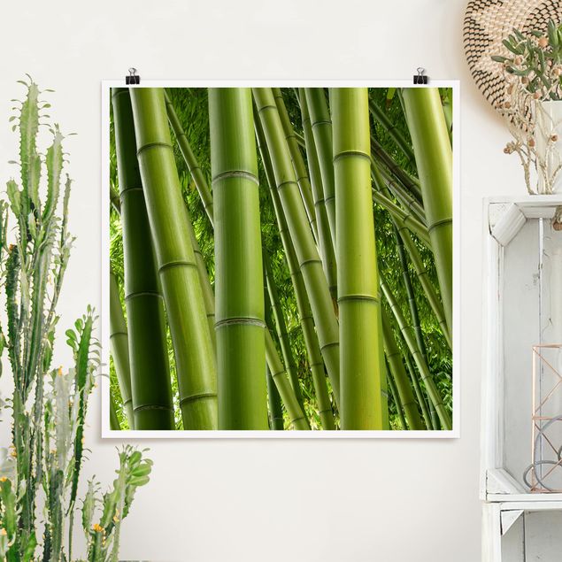 Tableaux paysage Bamboo Trees