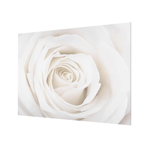 Fond de hotte - Pretty White Rose