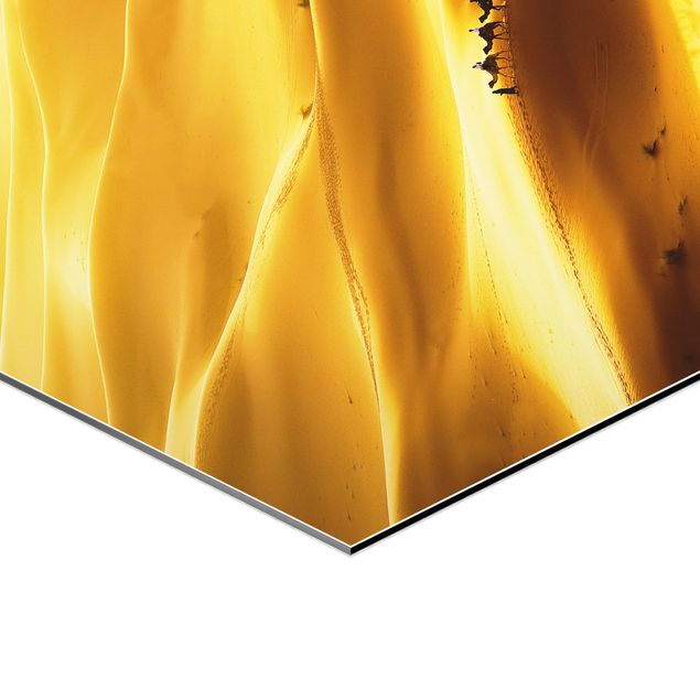Tableau hexagonal Dunes d'or