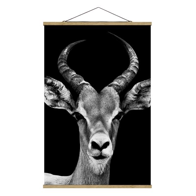 Tableaux afrique Antilope Impala noir et blanc