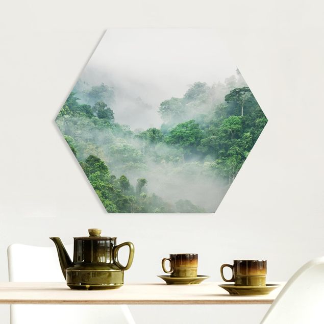 Tableaux paysage Jungle dans le brouillard