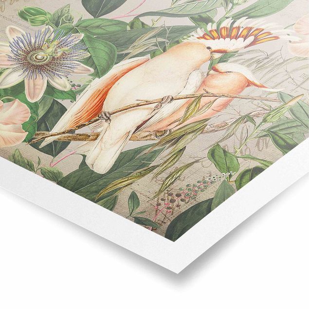 Tableaux rose Colonial Style Collage - Galah