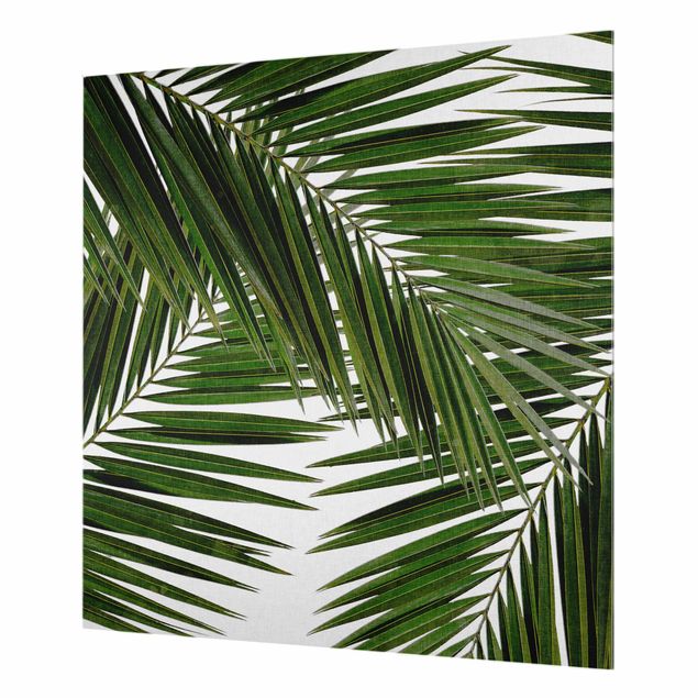 Fonds de hotte - View Through Green Palm Leaves - Carré 1:1