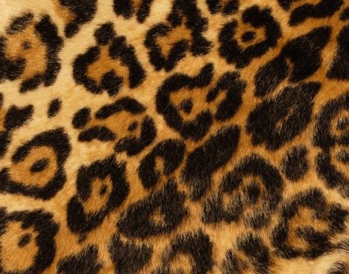 Meubles sous lavabo design - Jaguar Skin