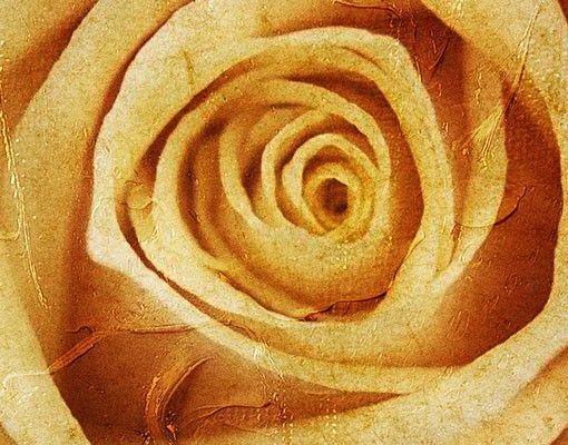 Meubles sous lavabo design - Vintage Rose