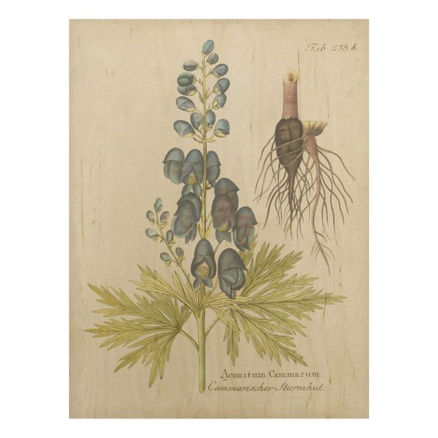 Tableaux en bois avec fleurs Botanique vintage en bleu Aconitum