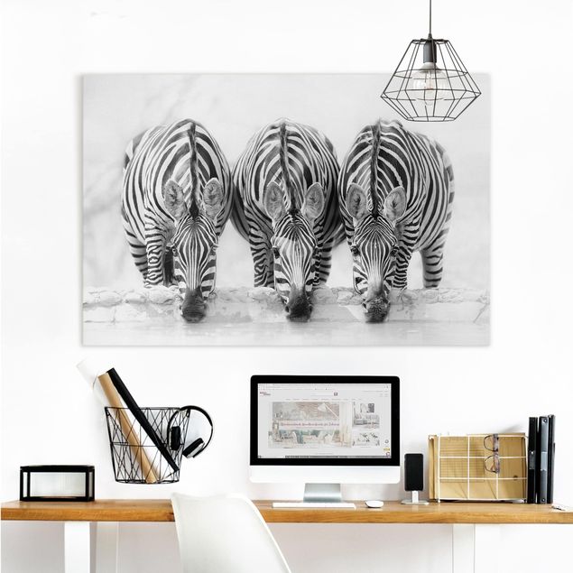 Impression sur toile - Zebra Trio In Black And White