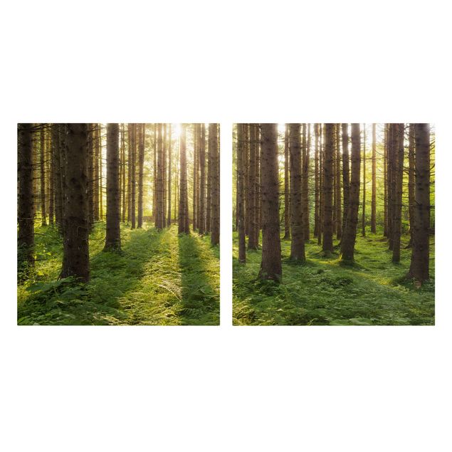 Tableaux modernes Rayons de soleil dans une forêt verte