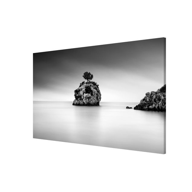 Tableau bord de mer Île rocheuse dans la mer Noir et blanc
