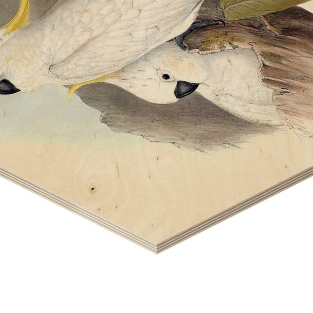 Hexagone en bois - Pastel Parrots III