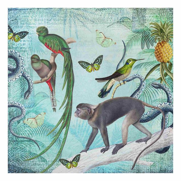 Tableau singe Collage de style colonial - Singes et oiseaux de paradis