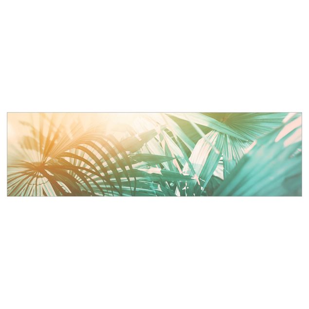 Revêtement mural cuisine - Tropical Plants Palm Trees At Sunset
