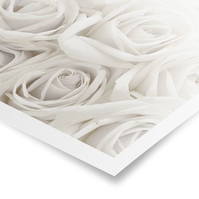 Tableau décoration White Roses