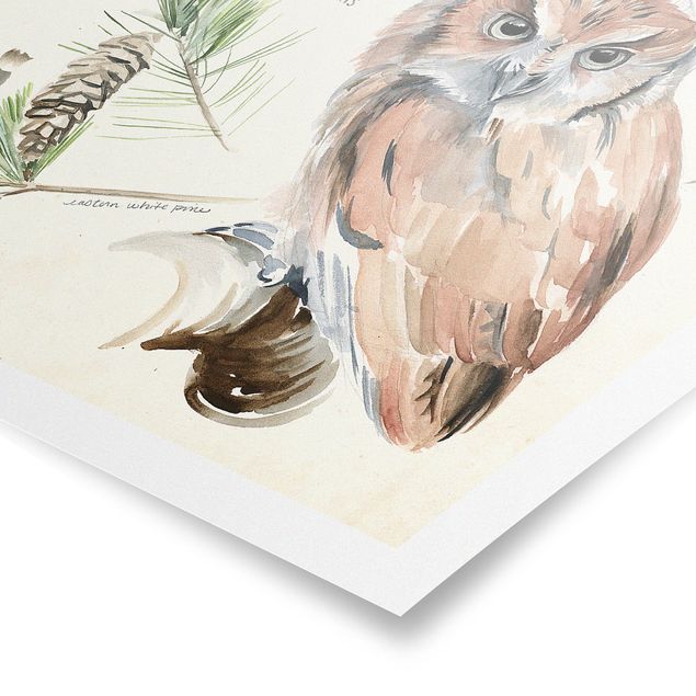 Tableaux marron Journal de la nature sauvage - Hibou