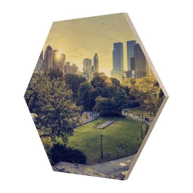 Hexagone en bois - Peaceful Central Park