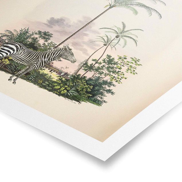 Tableaux nature Illustration de Zèbre Devant Des Palmiers