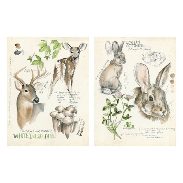 Cadre animaux Wilderness Journal - cerfs et lapins Lot II