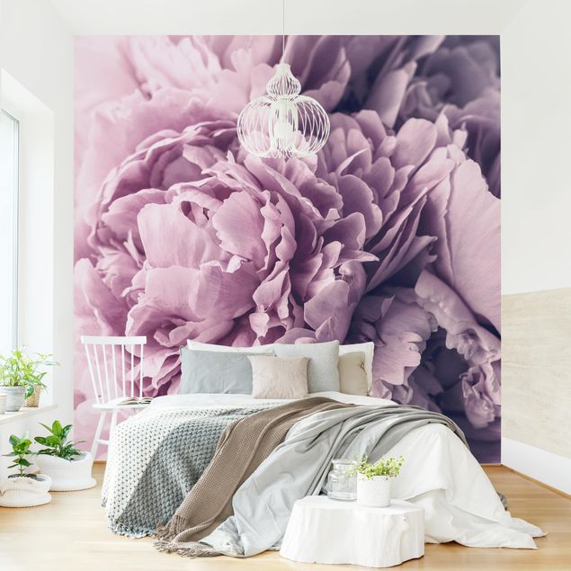 Papier peint floral Fleurs de pivoines violettes