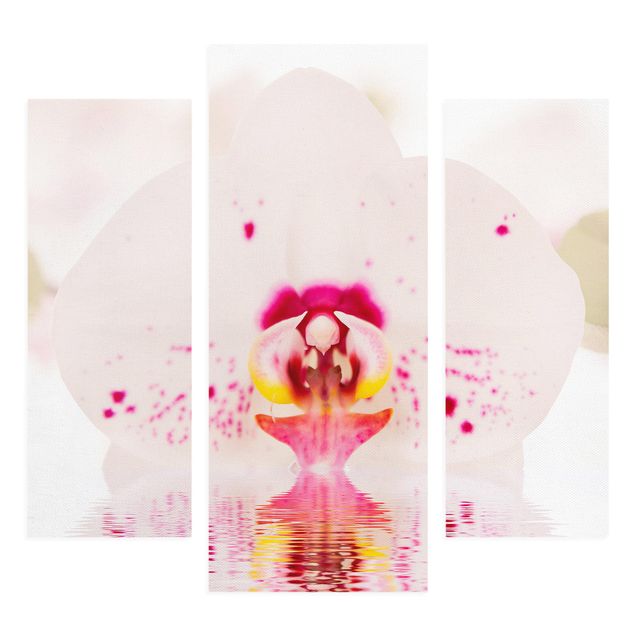 tableaux floraux Orchidée en pointillés sur l'eau