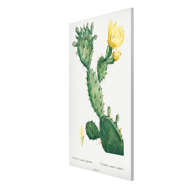 Tableau fleurs Illustration Botanique Vintage Fleur de Cactus jaune