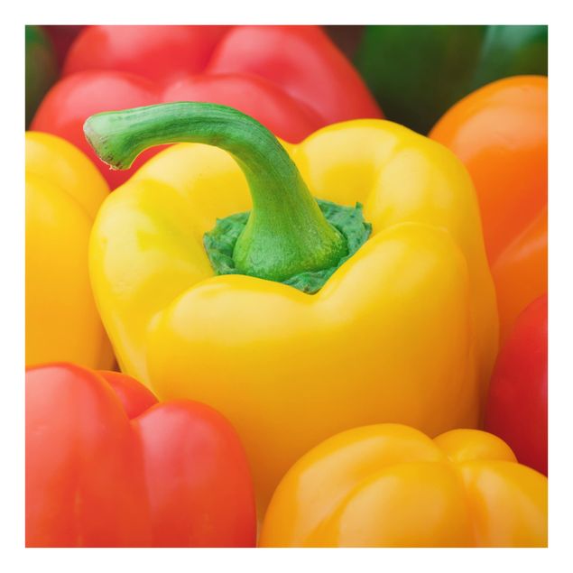 Fond de hotte - Colorful Peppers