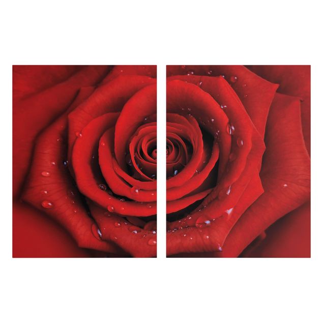 Tableaux amour Rose rouge avec gouttes d'eau