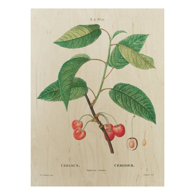 Tableaux en bois avec fleurs Illustration Botanique Vintage Cerises Rouges
